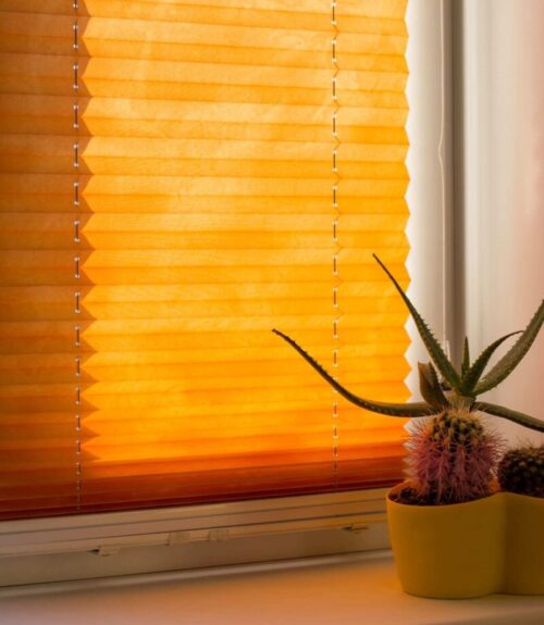 cellular Blinds